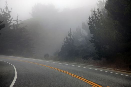 Road in the morning fog. California
