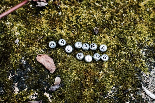 Silver inscription on the green grass. Paulina Blog separate letters in the forest.