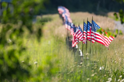 Long Row of American Flags Blowing in Wind on Fence.