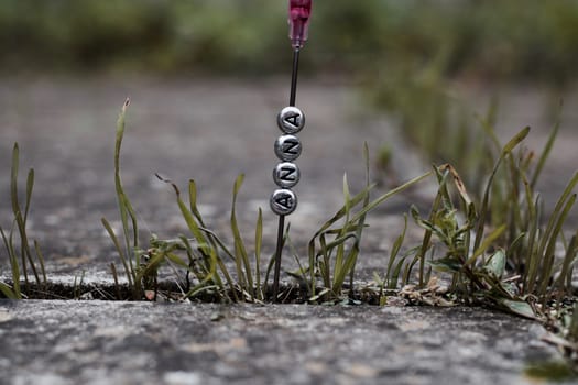 Small silver letters Anna. Polish name on the needle in the green garden.