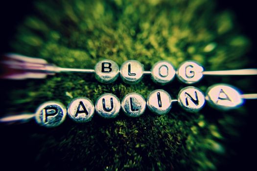 Small silver letters. Paulina Blog on the green natural concept.