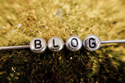 Small silver letters with blog sign on green natural grass in the forest.