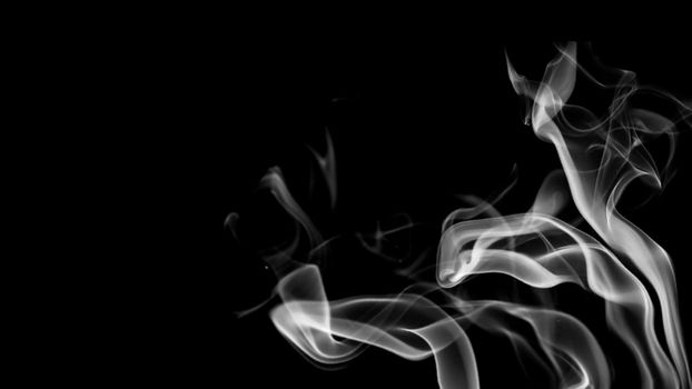 Abstract background with white smoke. 3d rendering.