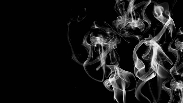 Abstract background with white smoke. 3d rendering.