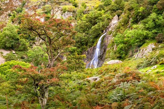 View of Aber Falls in Showdonia National Park