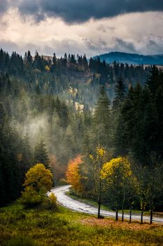 old asphalt road winding through the fog to village in mountains. forest with yellow foliage in morning light at sunrise. beautiful panoramic countryside landscape