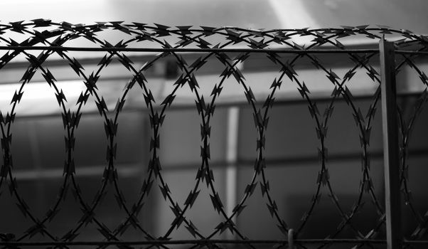 BLACK AND WHITE PHOTO OF SILHOUETTE METAL RAZOR WIRE FENCING