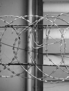BLACK AND WHITE PHOTO OF METAL RAZOR WIRE FENCING