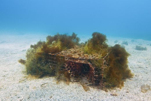 Abandoned lobster trap off San Clemente island, CA