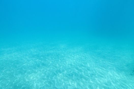 Sandy bottom and blue water. Sea Lion Rookery, Santa Barbara, Channel Islands, 33°28.45 N 119°1.71 W