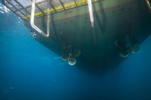 Bottom-side of boat anchored off Santa Barbara island, CA