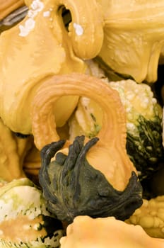 yellow and green gourd