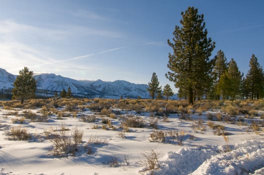 Winter along June Lake Road, June Lake, CA