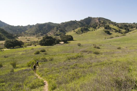Grasslands Trail overlooking park, Malibu Creek State Park, CA