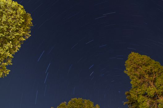 Startrails in the forest of Lake Arrowhead, California