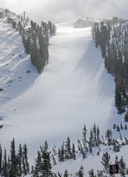 Fresh untouched powder on mountainside run of ski resort