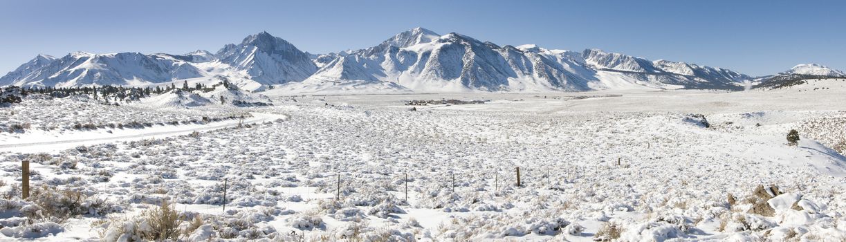 Winter panorama near Mammoth Lakes, CA