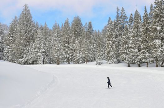 Snowboarder on the ski slope