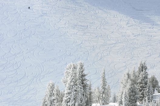 Ski and Snowboard tracks on mountainside