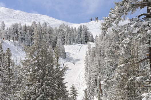 Ski resort winter wonderland