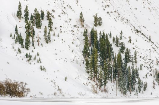 Snow-covered mountainside along Convict Lake, California