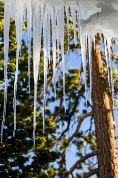 Hanging icicles