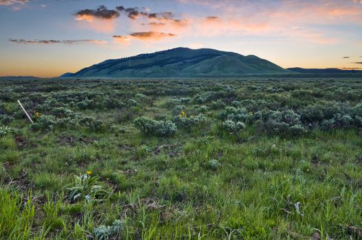 Sunrise in the hills and valley, Grand Teton National Park, Wyoming