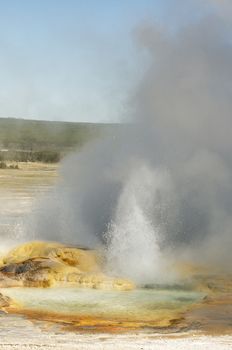 Spasm Geyer erupting and fuming in Fountain Paint Pots area in Yellowstone National Park, Wyoming