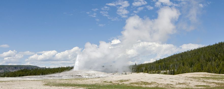Old Faithful Geyser erupting at Yellowstone  National Park, Wyoming