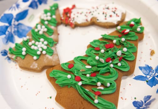 Holiday gingerbread cookies