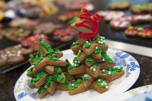 Holiday gingerbread cookies