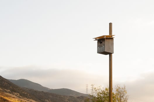 Birdhouse in nature park