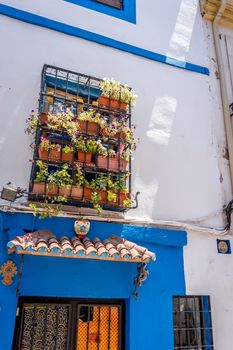 A garden in a balcony on the streets of Cordoba, Spain, Europe