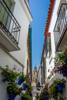 A view of the bell tower of Cordoba in between 2 buildings on either side of the street in Cordoba, Spain, Europe with blue flower pots on either side