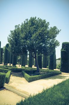 The jardines of the Alcazar de los Reyes Cristianos