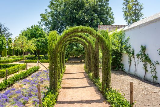 The jardines of the Alcazar de los Reyes Cristianos