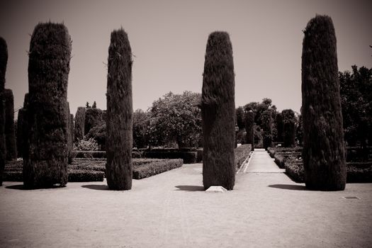 The jardines, royal garden of the Alcazar de los Reyes Cristianos, Cordoba, Spain, Europe