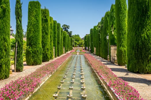 The jardines, royal garden of the Alcazar de los Reyes Cristianos, Cordoba, Spain, Europe