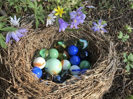 Marbles in a bird's nest