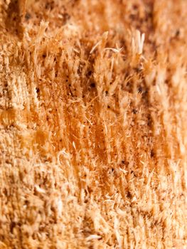 warm and orange brown wood surface texture close up