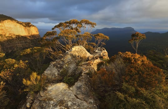 Warm golden sunlight across the rocky escarpment texture and colour in the native bushes and gum trees.  Blue Mountains views to Mount Solitary under a moody sky
