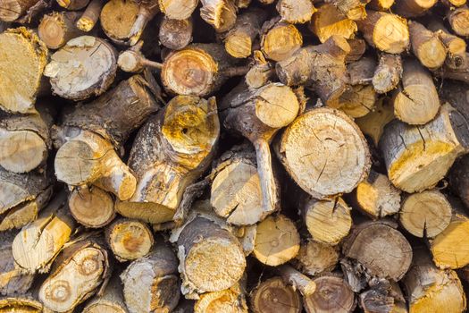 Background of the stacked firewood made of an old dilapidated wooden trunks
