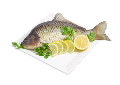 Carp with peeled scales and prepared for cooking, twigs of the parsley and lemon slices on white square dish on a white background
