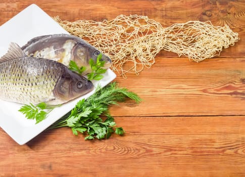 Fragment of the white square dish with common carp and mirror carp with peeled scales and prepared for cooking, bunch of dill and parsley, part of the fishing net on the old wooden planks
