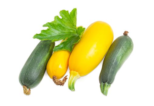 Two fresh dark green zucchini and two yellow vegetable marrows different sizes with leaf on a light background
