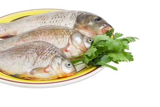 Fragment of a yellow dish with carp and crucians different sizes with peeled scales and prepared for cooking and parsley twigs on a white background
