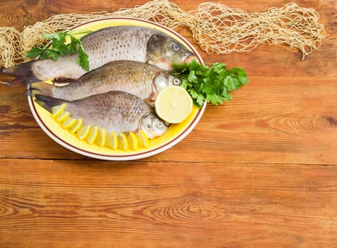 Carp and crucians different sizes with peeled scales and prepared for cooking, slices of lemon and parsley twigs on the yellow dish and part of the fishing net on a surface of the old wooden planks
