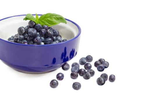 Fragment of the blue bowl with a dessert made of a fresh blueberries and sweetened condensed milk and decorated with basil twig and separately several berries beside on a white background
