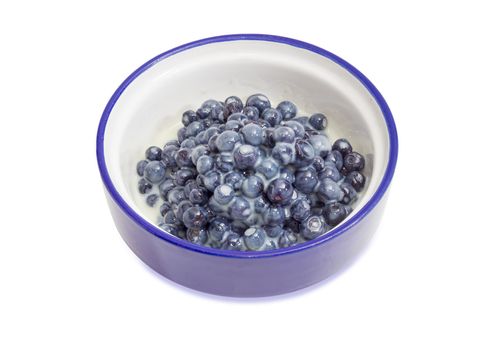 Dessert made of the fresh wild bilberries and sweetened condensed milk in blue bowl on a white background
