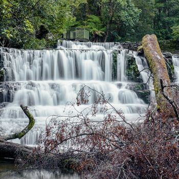 Beautiful Liffey Falls in the Midlands Region, Tasmania after heavy rain fall.